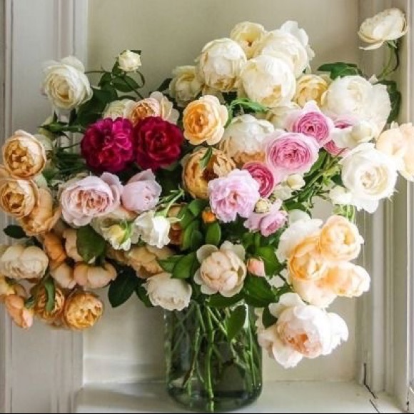 Pink Champagne/Wine Glasses - Picture 15 of 15